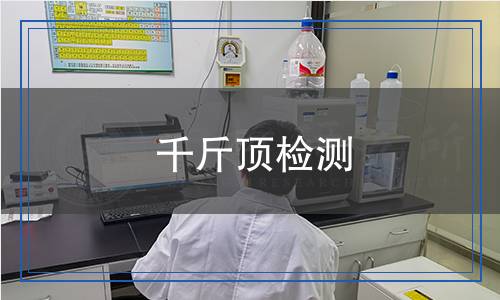 千斤頂檢測(cè),千斤頂檢測(cè)報(bào)告