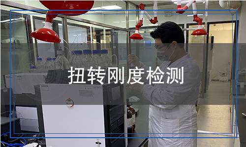 扭轉(zhuǎn)剛度檢測,扭轉(zhuǎn)剛度檢測報(bào)告