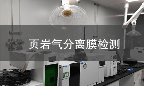 頁巖氣分離膜檢測