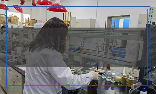 GA/T 2137-2024 法庭科學(xué) 工業(yè)大麻及其加工產(chǎn)品中Δ9-四氫大麻酚等4種成分檢驗(yàn) 液相色譜和液相色譜-質(zhì)譜法