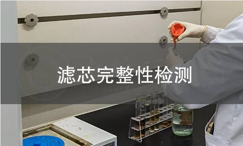 濾芯完整性檢測(cè)