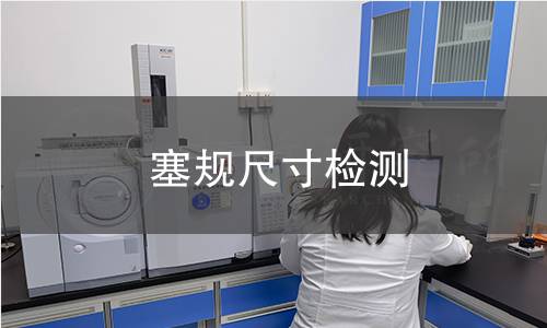塞規(guī)尺寸檢測
